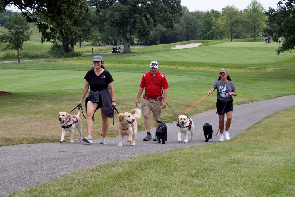 3 people walk 3 dogs and 2 puppies along a path at The Oaks Golf Course
